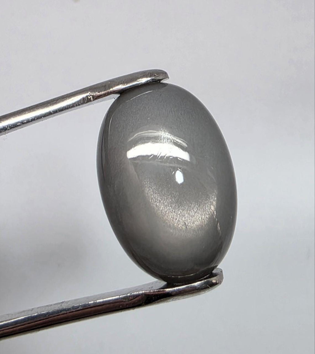 Pierre de lune grise AAA, cabochon ovale lisse 22,6 x 15,4 mm (24,47 ct) - Pierre de collection, fournisseur de bijoux en pierres rares - Gemmes naturelles - Adularescence