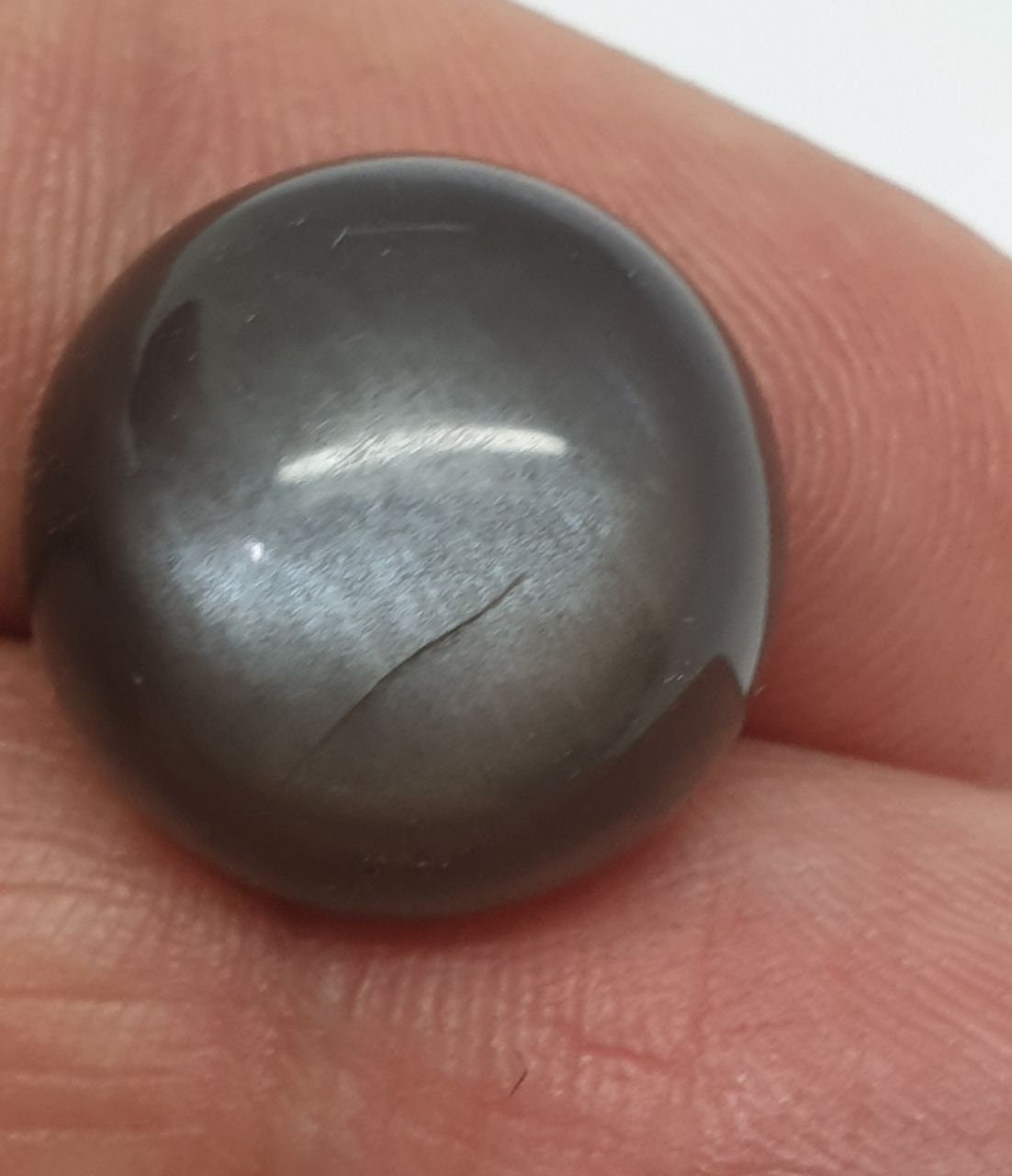 Cats Eye Black Moonstone Round Cabochon  15mm 12.4ct Collector Stone Rare Stone Jewelrry  Supplier