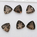 Lote de 6 trillones de cuarzo ahumado facetado de 8 mm.