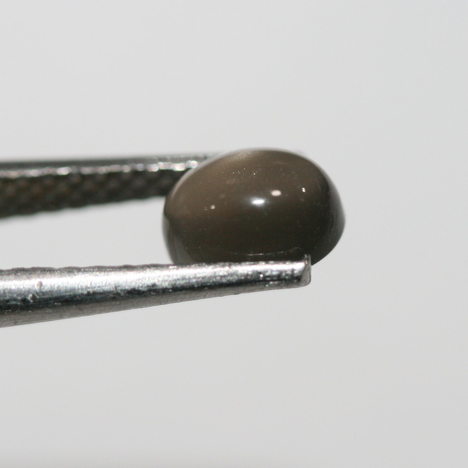 10Pcs Lot Gray Moonstone Oval Cabochon 7x5mm (10 pcs.)