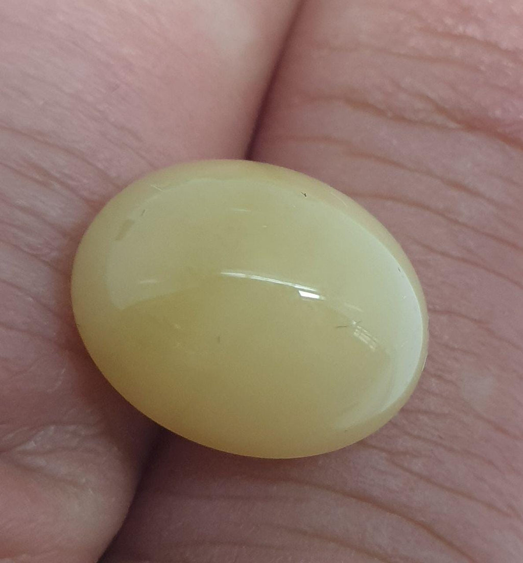 Natural Yellow African Opal Cabochon 14x11.5mm. (6.4ct.)- Rare Color Opal- Unusual Gems- Wholesale Supplier