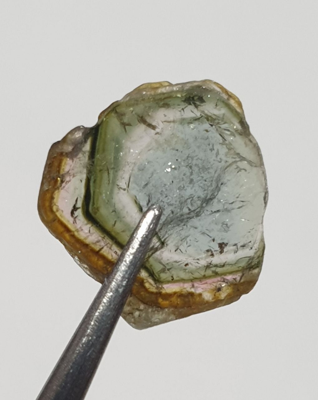 Watermelon Tourmaline Slice -Green  Tourmaline 2.6ct  11x11.5mm - Rare Stone Color-One Of A Kind