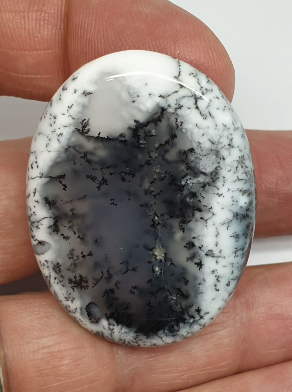 Big AAA Dendritic Opal Agate Oval  Cabochon 41.5x30.8mm 68ct- Natural Untreated Opal -  Natural Untreated Gemstone