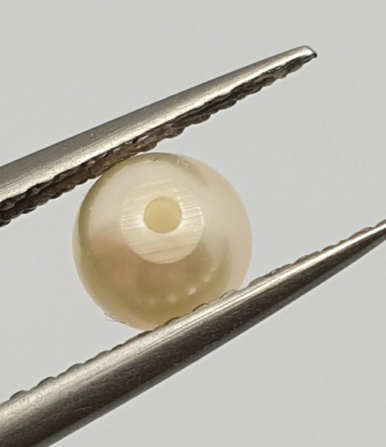 1 Pair Saltwater Top Luster Japanese Akoya Half Drilled Three Quarter 7.5-8mm Round Natural Cultured Pearl-Price Per 1 Pair- Pearl Earring