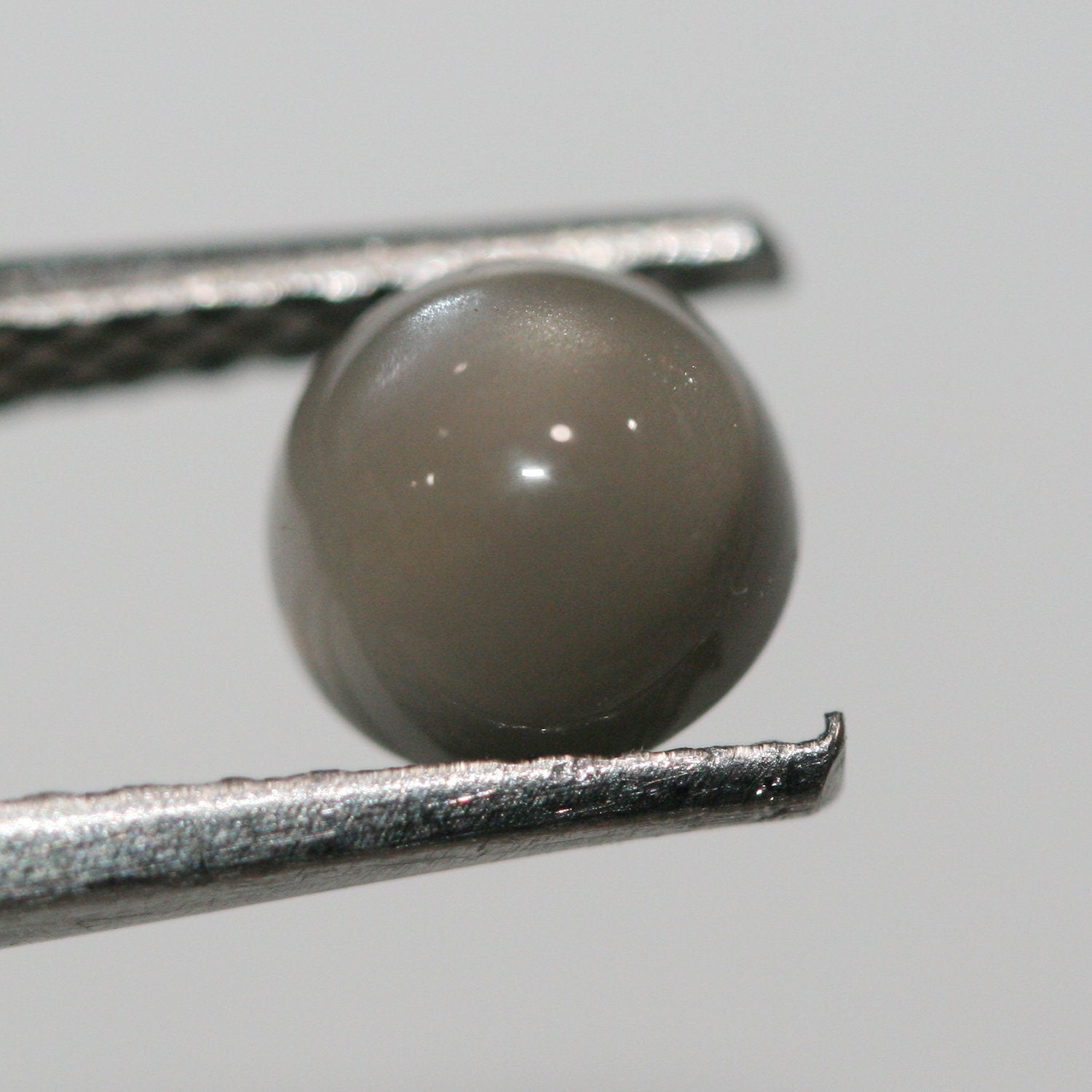 10Pcs Lot Gray Moonstone Round Cabochon 6mm (10 pcs.)