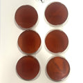 Lote de 6 cabujones de disco liso de cornalina de 16 mm. (6 piezas).