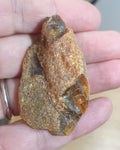 Pendentif en ambre brut de la Baltique, non percé, non poli, semi-poli, 50 x 30 mm. Non percé.