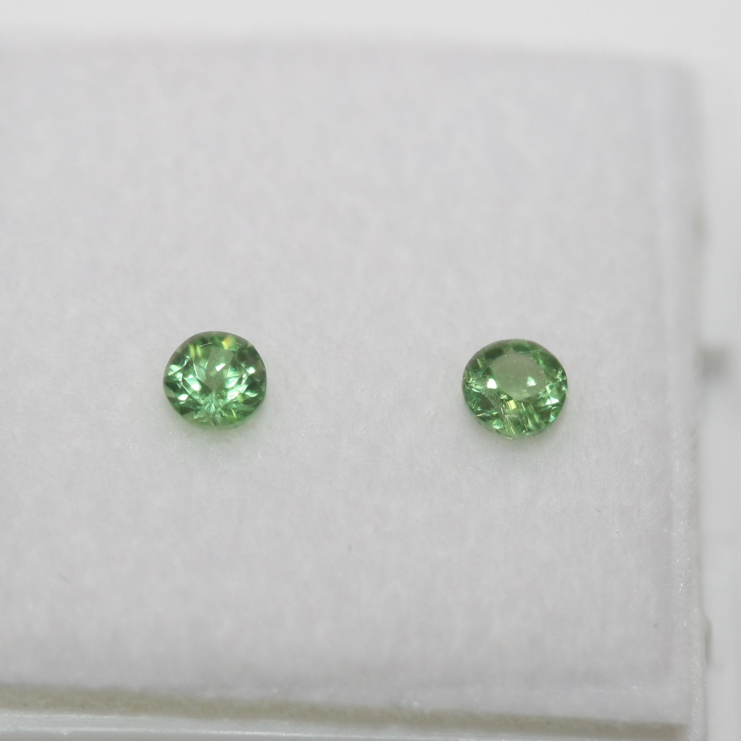 Lot de grenats tsavorites ronds à facettes de 3 mm (2 pièces) - Pierres précieuses en vrac - Prix de gros