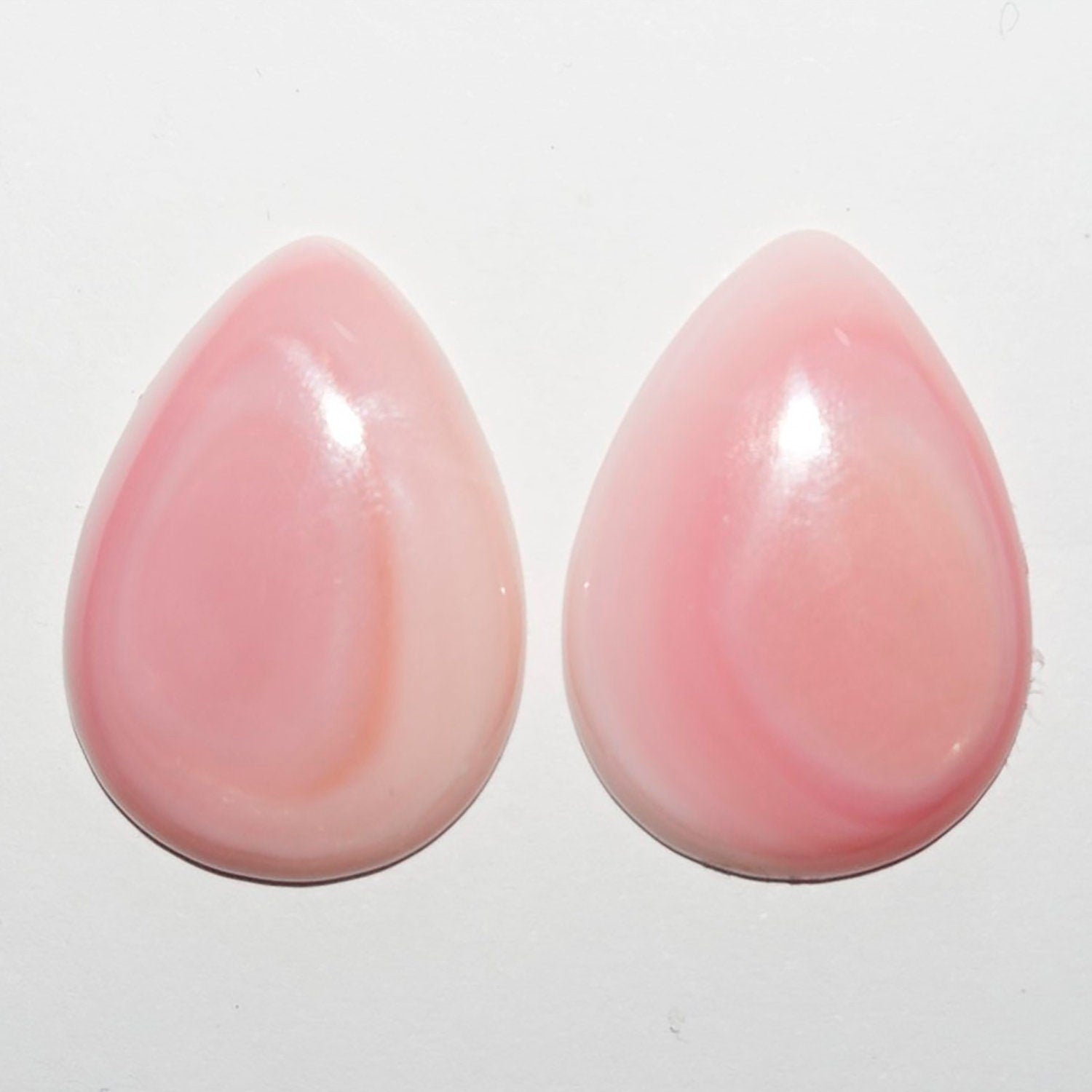 Lote de 2 cabujones de concha rosa de 25 x 18 mm. (2 uds.)