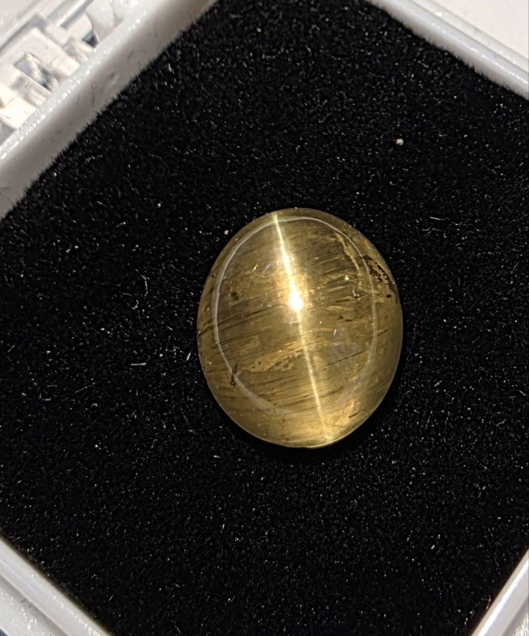 Apatite œil-de-chat verte AAA unique en son genre, cabochon ovale 12,3 x 10,6 mm, 7,5 ct - Gemme non traitée - Qualité exceptionnelle - Chatoyance - Pierre de collection