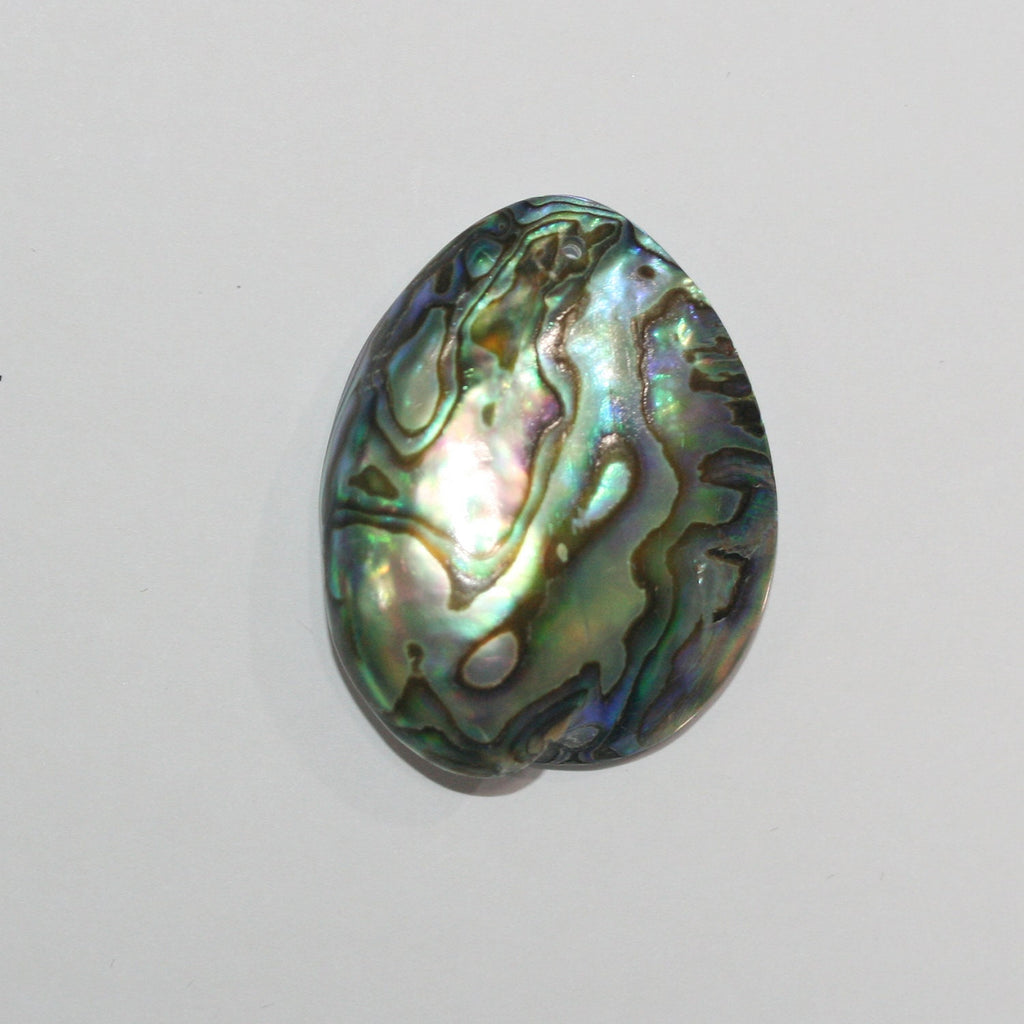 Colgante ovalado liso de concha de Paua de 35 x 25 mm aprox. (1 unidad)
