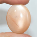 Gros cabochon ovale en pierre de lune pêche, 30 x 24,5 mm (50,78 ct) - Pierre de collection, fournisseur de pierres rares - Gemmes naturelles