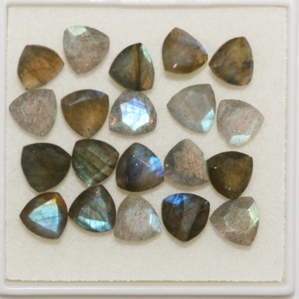Lote de 20 piezas de labradorita facetada trillón de 6 mm. (20 uds.).