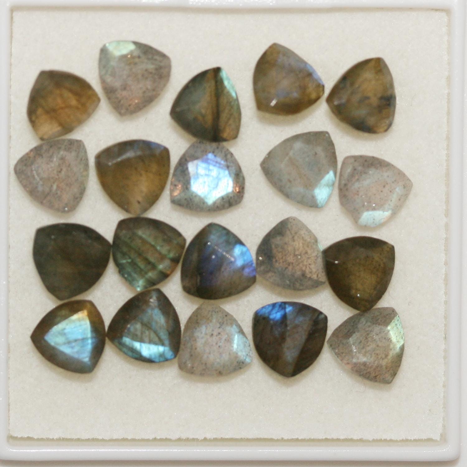 Lote de 20 piezas de labradorita facetada trillón de 6 mm. (20 uds.).