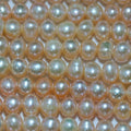Perla de agua dulce redonda color salmón de 15" (5-6 mm) - Hilo de 39 cm - Perlas naturales - Precios al por mayor