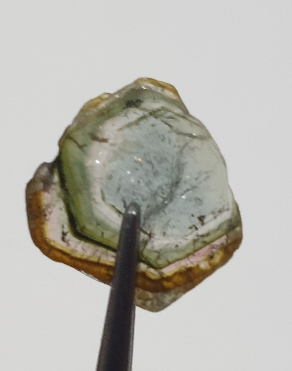 Watermelon Tourmaline Slice -Green  Tourmaline 2.6ct  11x11.5mm - Rare Stone Color-One Of A Kind