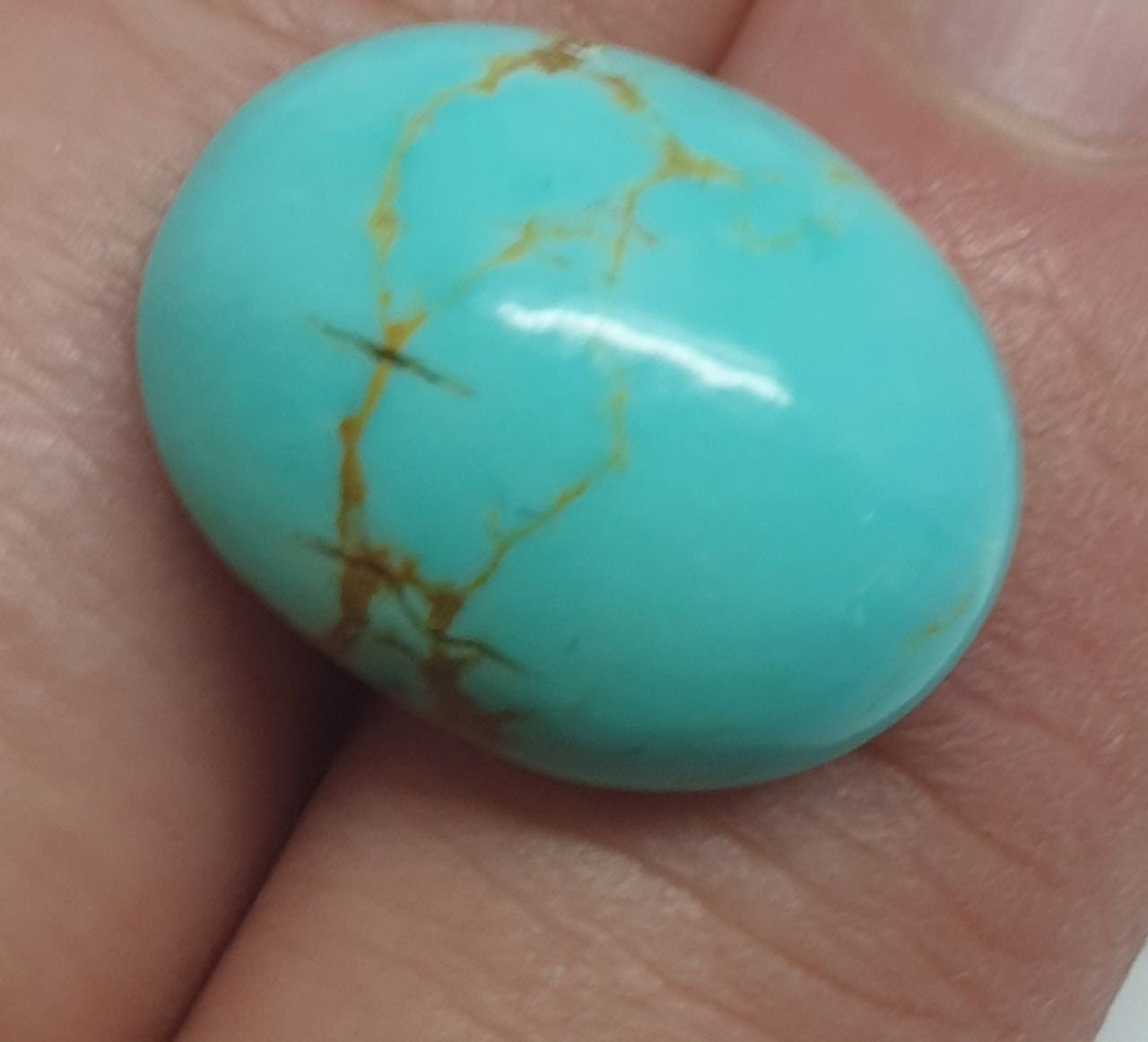 Turquoise Smooth Oval Cabochon 18.2x14mm. (13.9ct.)