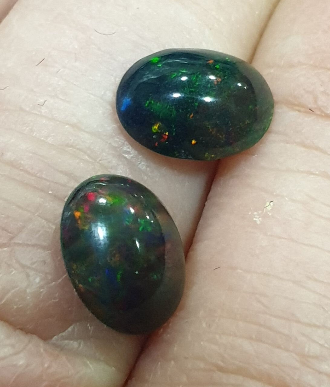 1 Pair Ethiopian Black Opal Lot Oval Cabochon 9x7mm. (2 pcs)  -Gemstone Parcels-Loose Stones Wholesale Price