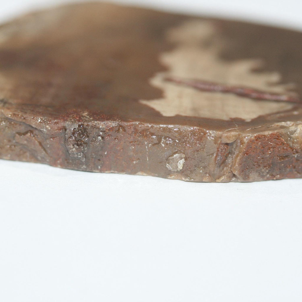 Colgante de madera fosilizada petrificada de 84,4 x 50,5 mm, Xilopal, madera petrificada natural, pieza única.