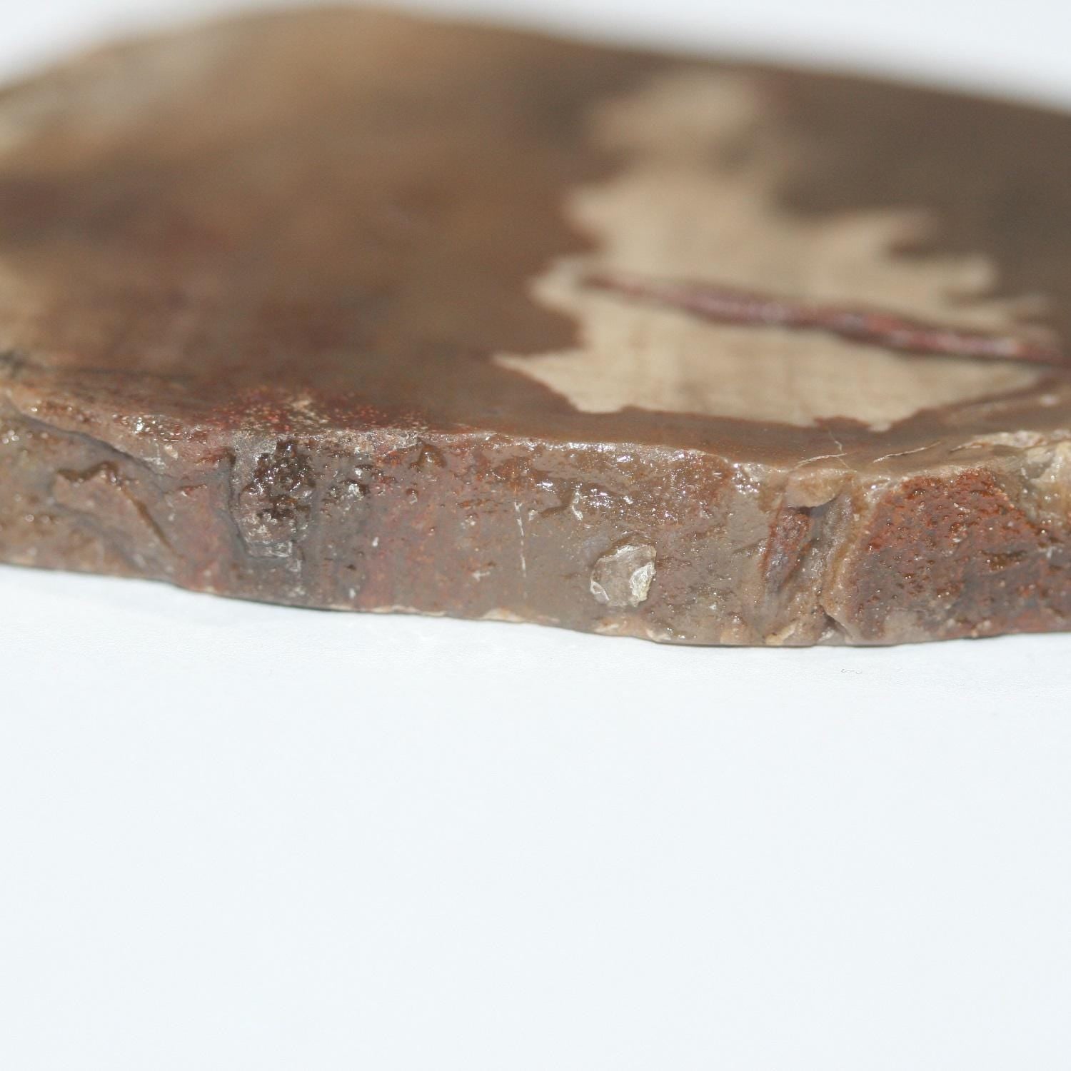 Colgante de madera fosilizada petrificada de 84,4 x 50,5 mm, Xilopal, madera petrificada natural, pieza única.