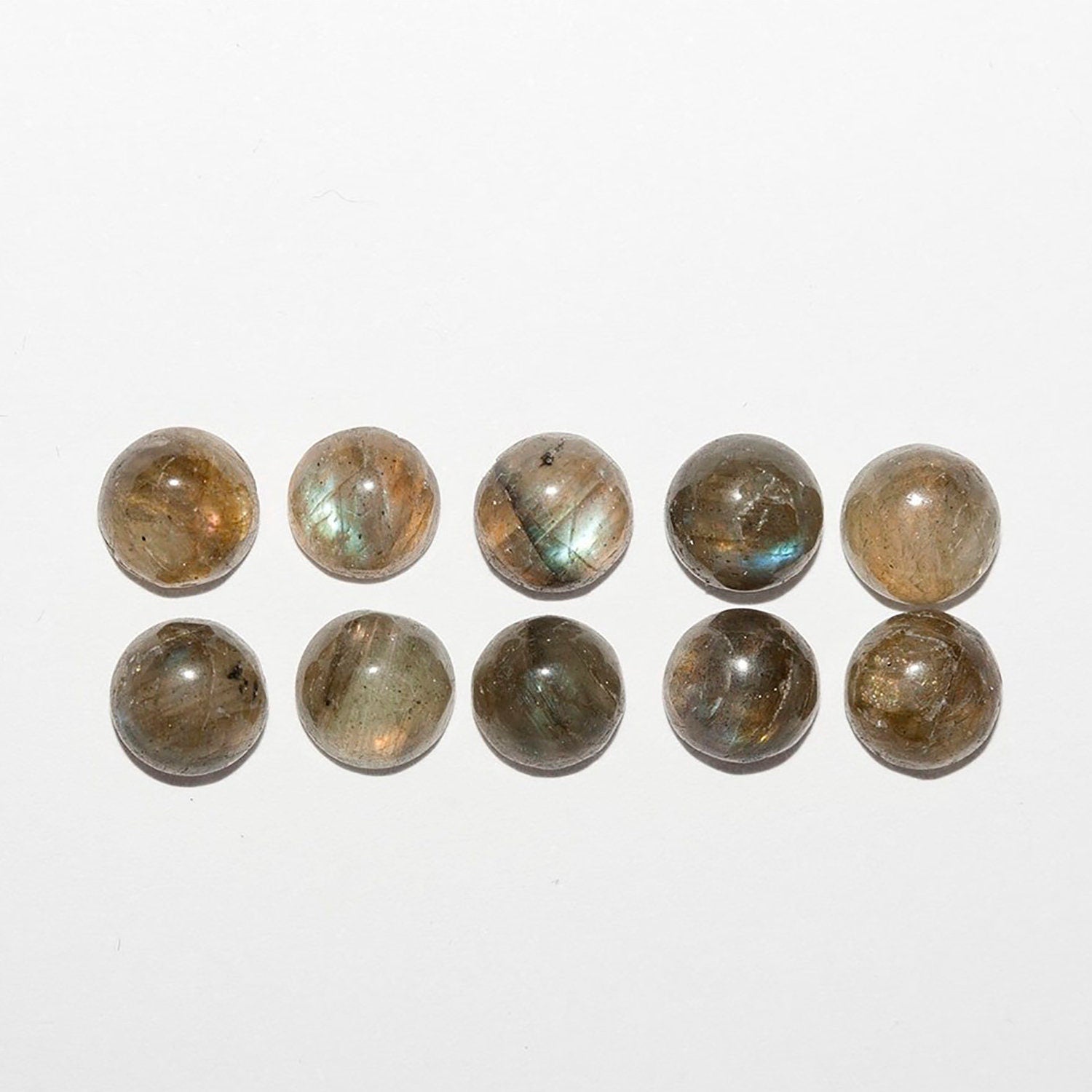10 Pcs Lot Labradorite Round Cabochon 6mm (10 pcs)