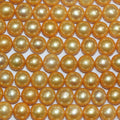 16" St Perles rondes jaune doré d'eau douce 10-11 mm.-Bring 39 cm.