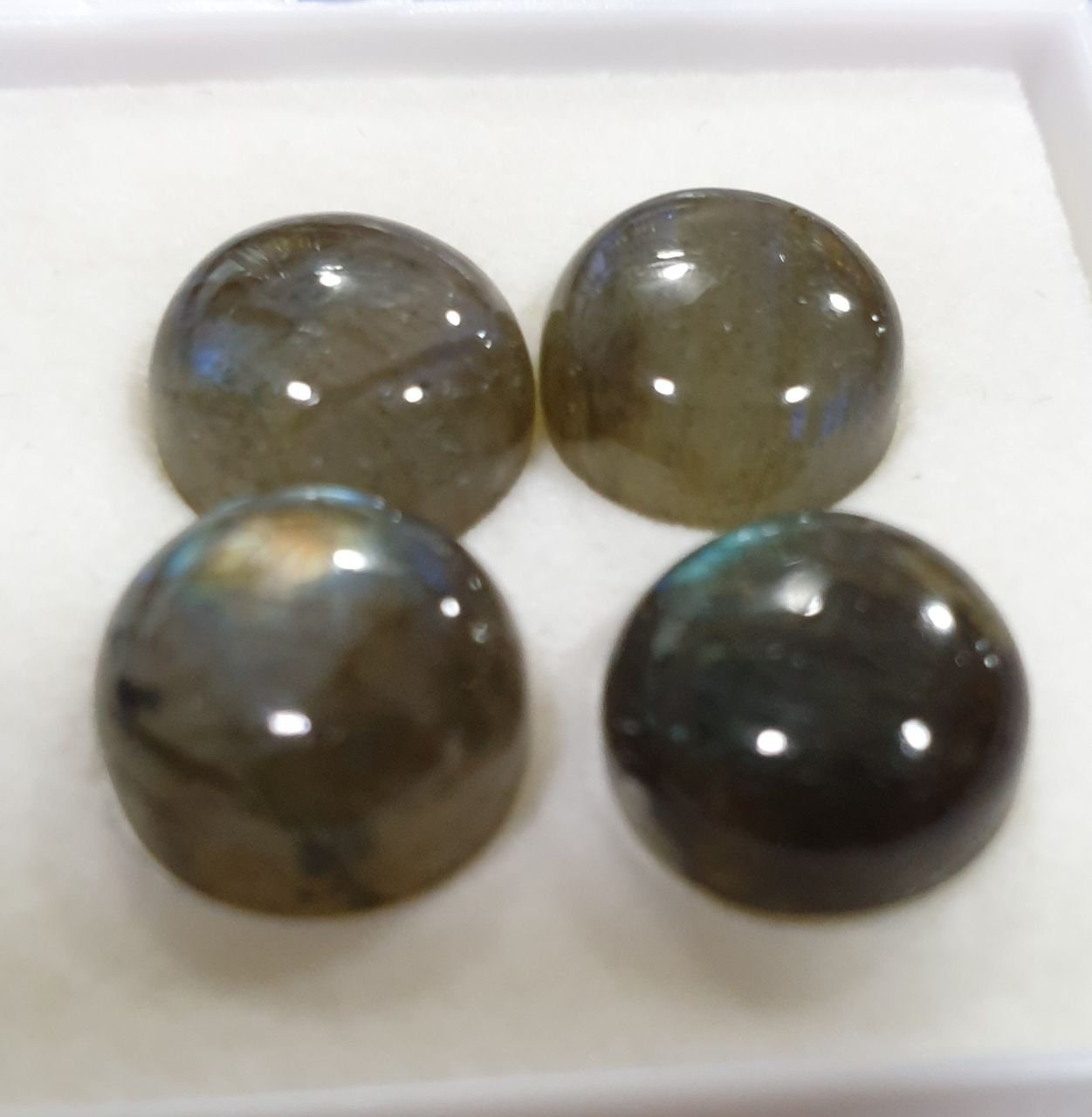 Lote de 4 cabujones redondos de labradorita de 11 mm (4 unidades)