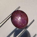 Star Ruby Smooth Oval Cabochon 10.5x9mm. (7.9ct.)