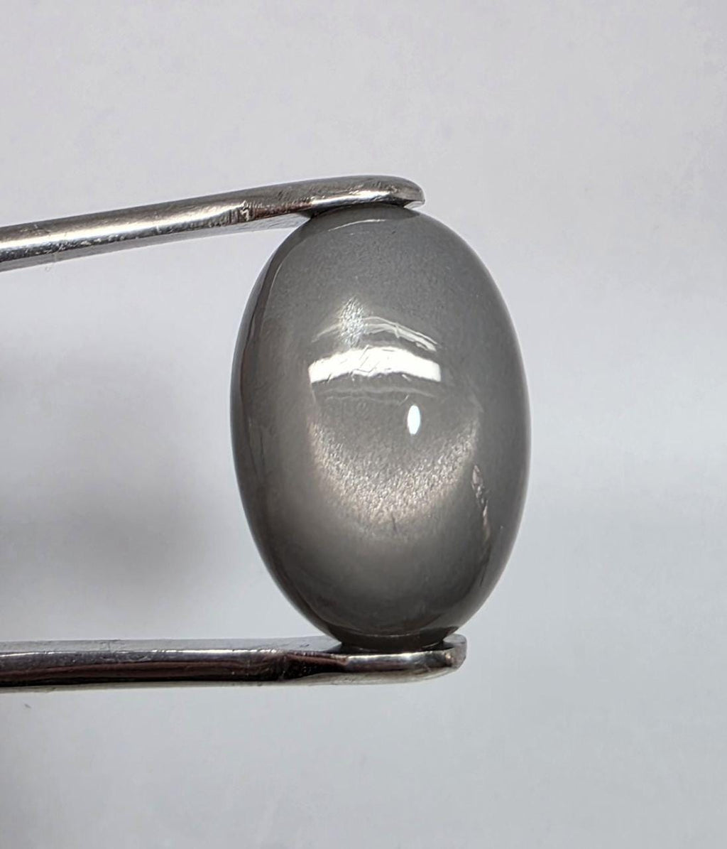 Pierre de lune grise AAA, cabochon ovale lisse 22,6 x 15,4 mm (24,47 ct) - Pierre de collection, fournisseur de bijoux en pierres rares - Gemmes naturelles - Adularescence