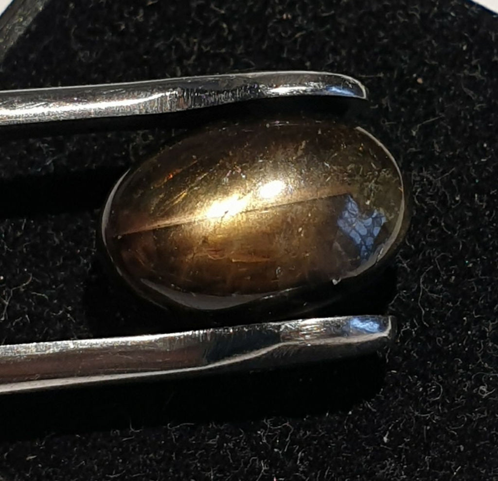 Natural Black Star Sapphire  Oval Cabochon 12.76ct  15x10.3mm -Wholesale -Gemstone Parcels-Loose Stones Wholesale Price