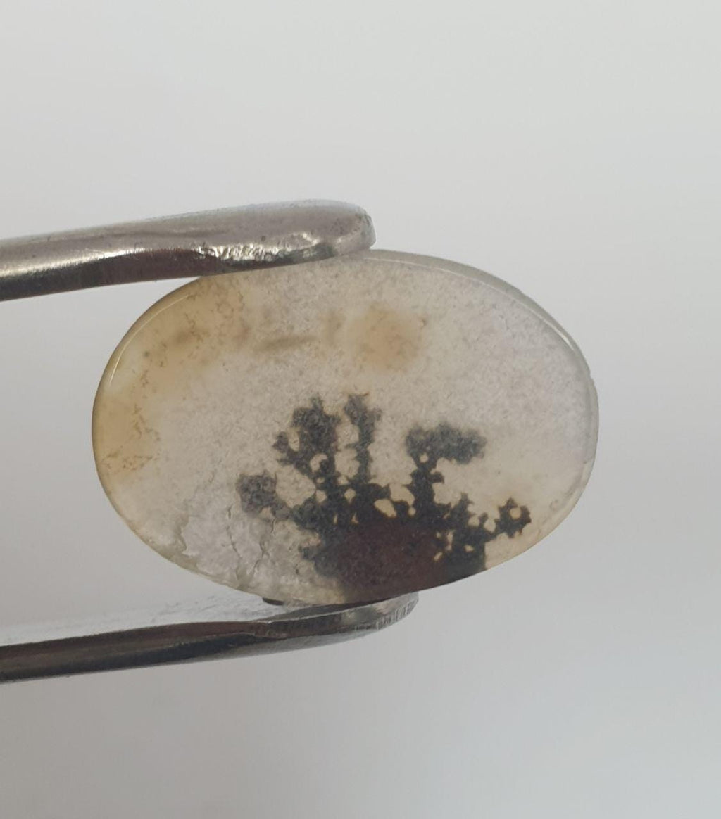 Rare Inclusion Natural Dendritic Agate Oval 18.8x13.2mm Cabochon Made By Mother Nature 6ct