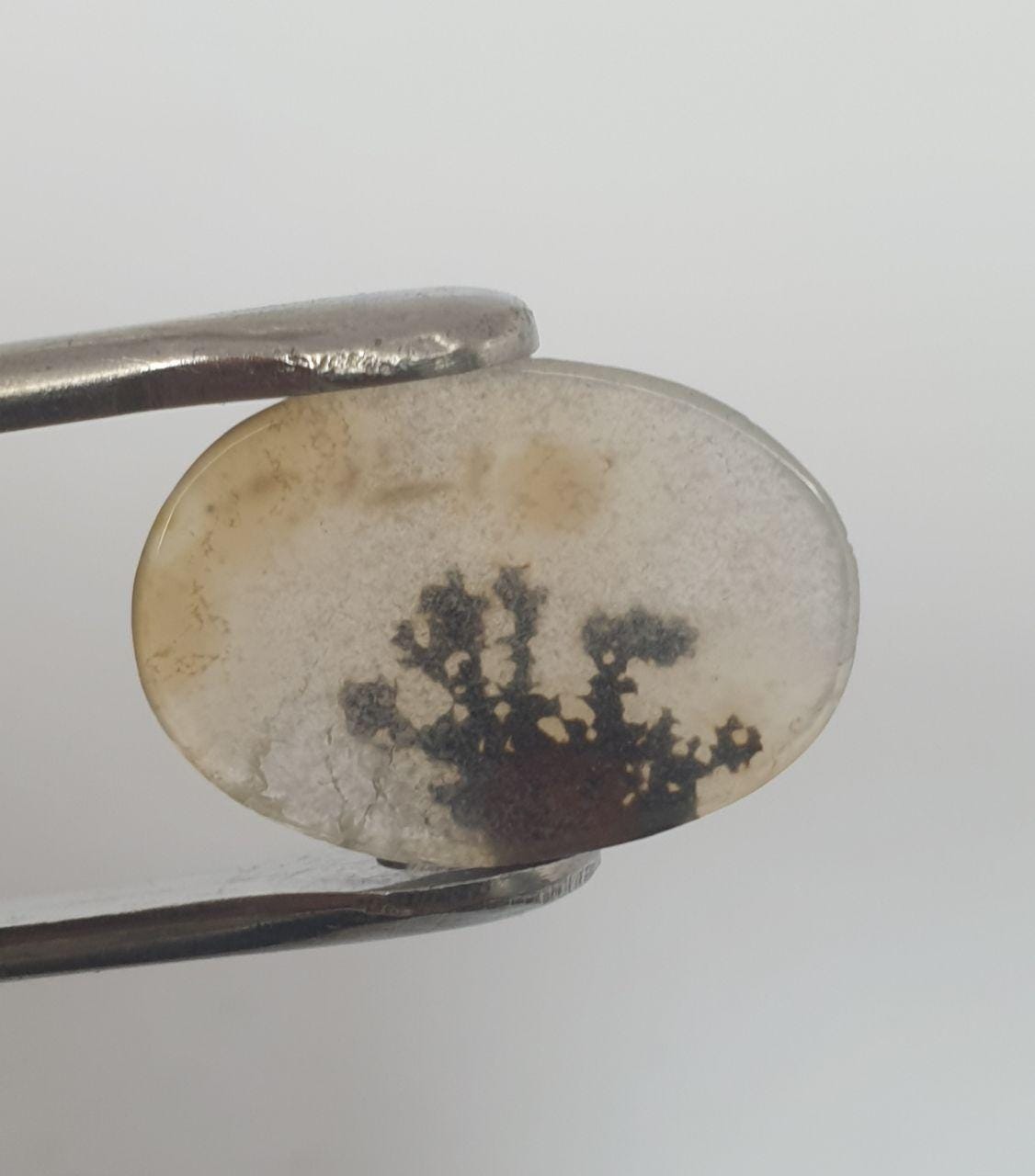 Rare Inclusion Natural Dendritic Agate Oval 18.8x13.2mm Cabochon Made By Mother Nature 6ct