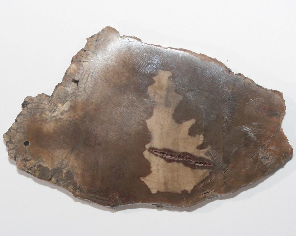 Colgante de madera fosilizada petrificada de 84,4 x 50,5 mm, Xilopal, madera petrificada natural, pieza única.