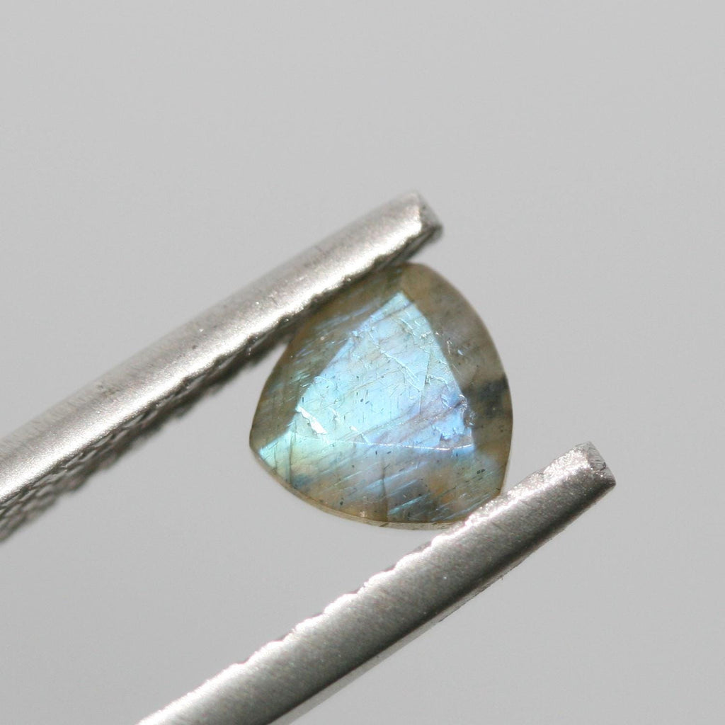 Lote de 20 piezas de labradorita facetada trillón de 6 mm. (20 uds.).