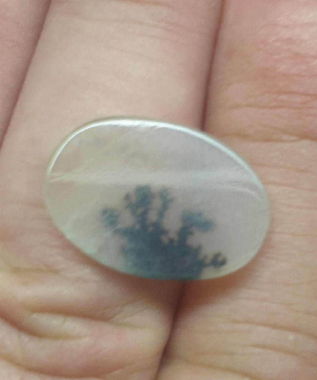 Rare Inclusion Natural Dendritic Agate Oval 18.8x13.2mm Cabochon Made By Mother Nature 6ct