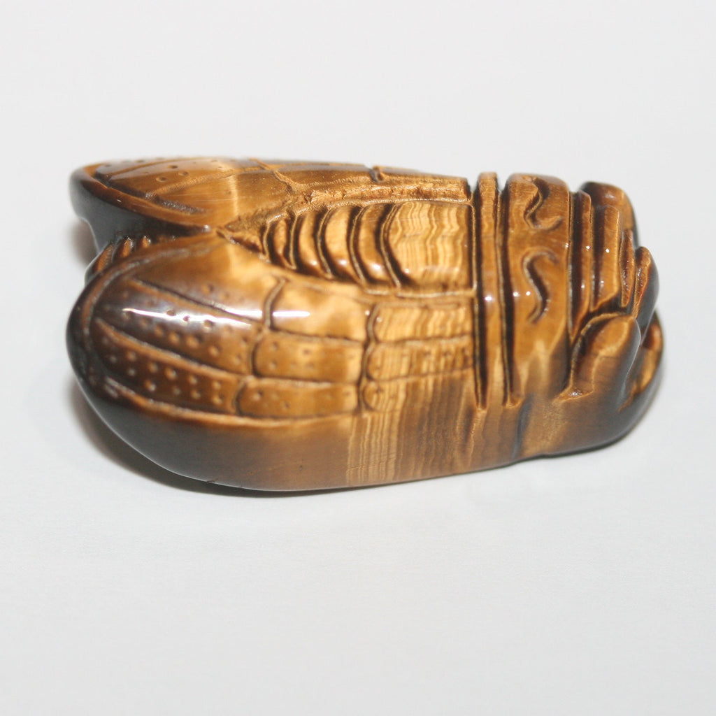 Pendentif mouche œil de tigre 27x16mm.