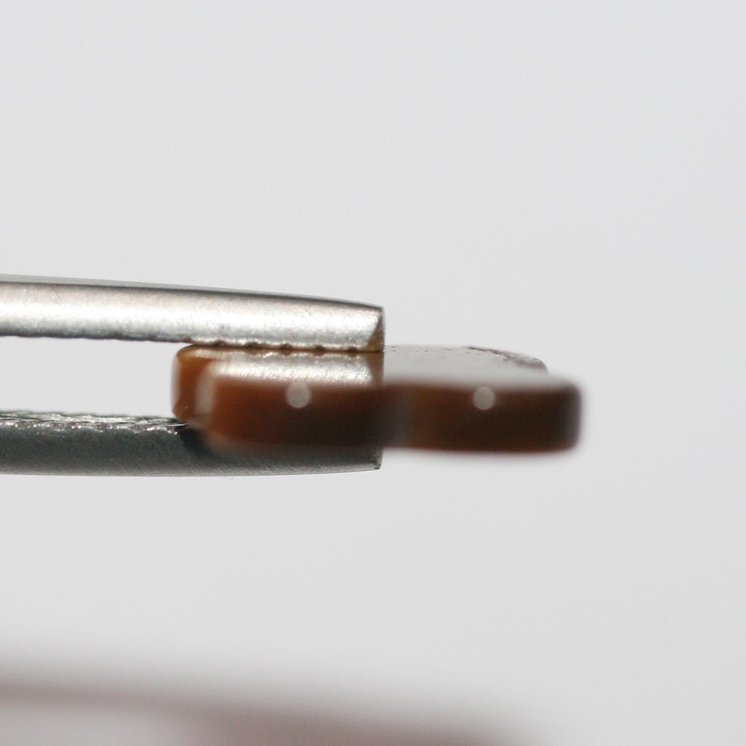 Lote de 8 cabujones planos de ojo de tigre de 10 mm. (8 piezas)