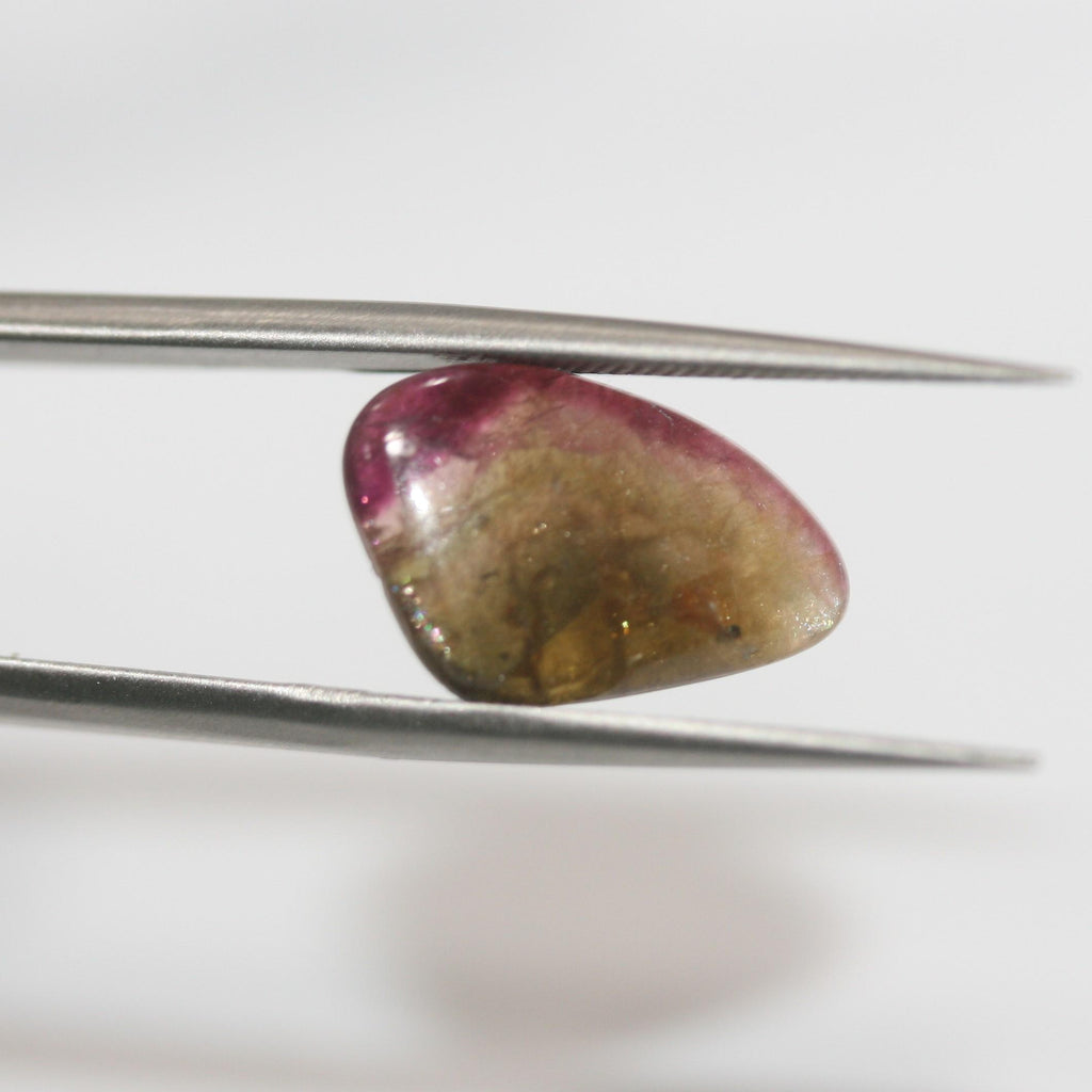 Watermelon Turmaline Oval Irregular Flat Cabochon 16.5x10.5mm.(5.36ct.)