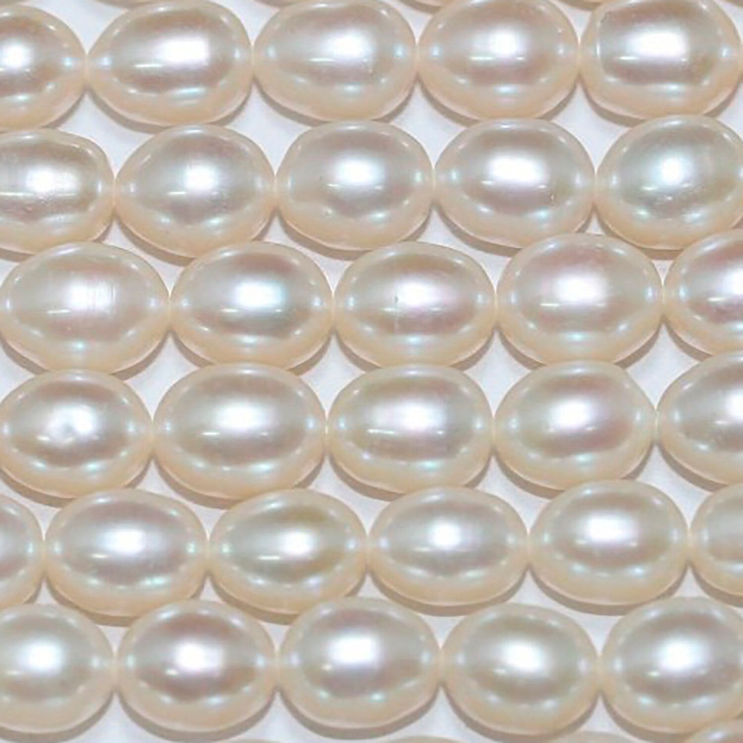 Perles ovales d'eau douce de 35,5 cm (14 pouces), 2,5-3 mm, rang de 36 cm. Perles naturelles à prix de gros.