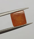 Grenat Spessartine Cabochon Coussin 7mm (2,86ct.).