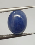 Natural   Blue Sapphire Oval Cabochon 12.5x9.7mm. (7.2ct.)