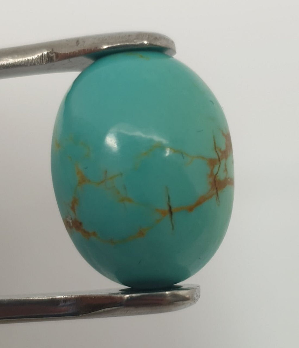 Turquoise Smooth Oval Cabochon 18.2x14mm. (13.9ct.)
