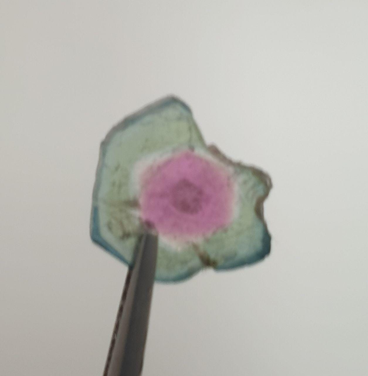 Watermelon Tourmaline Slice -Bi Color   Green And Pink Tourmaline 1.63ct  9mm - Rare Stone Color-One Of A Kind