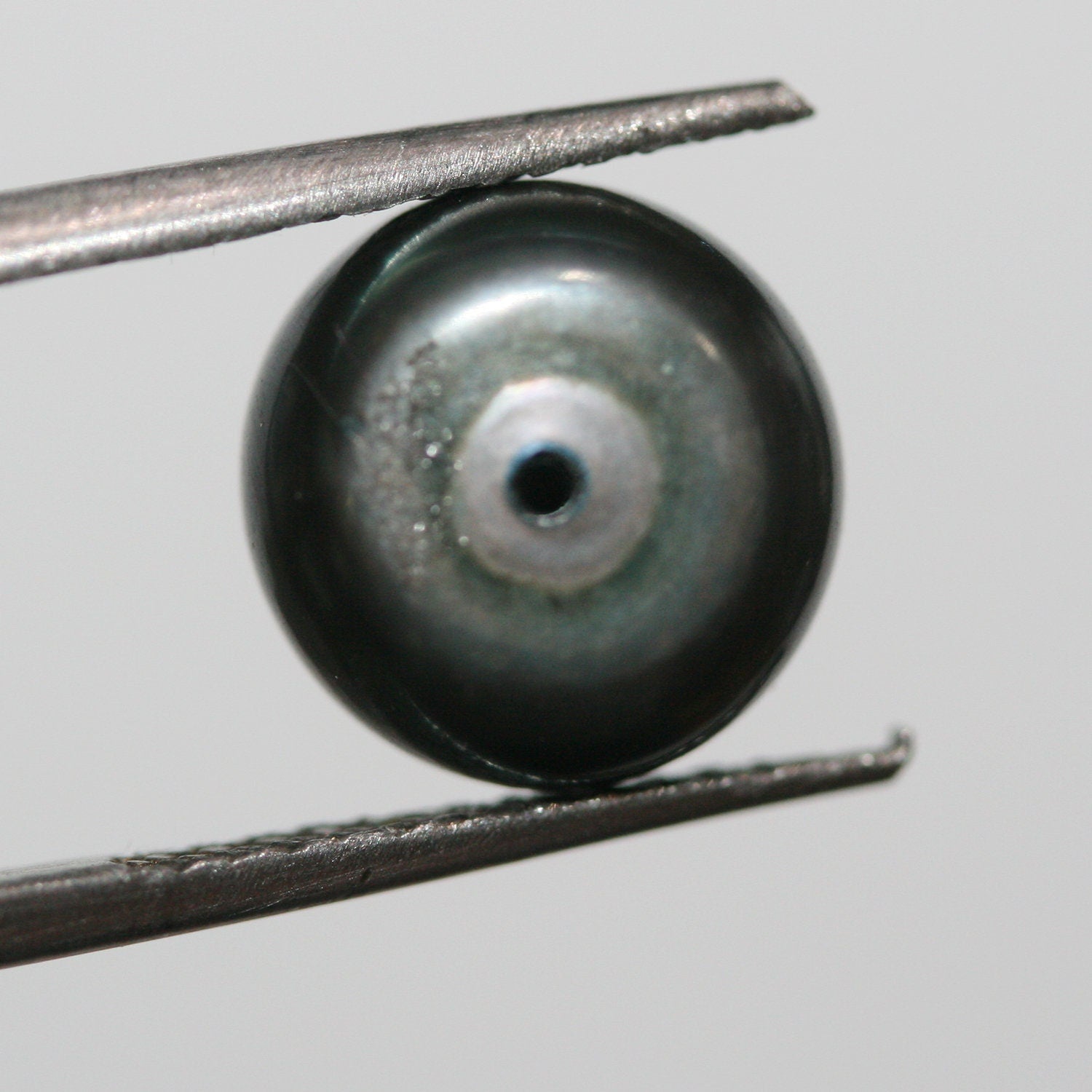 Pendientes de perla de agua dulce gris semiperforada, con brillo superior AAA, 6 pares a juego, casi redonda, de 6-6,5 mm (perla natural de brillo superior)