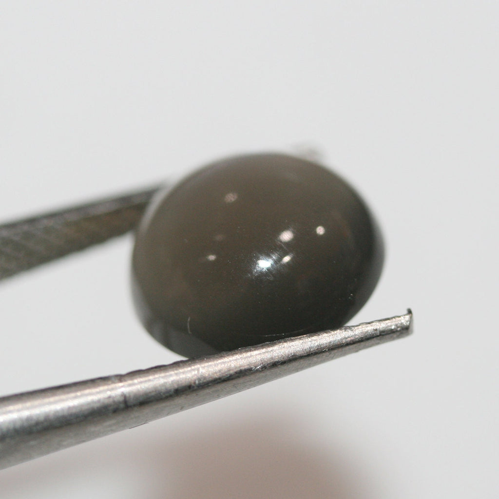 Lote de 2 cabujones redondos de piedra lunar gris de 12 mm. (2 piezas)