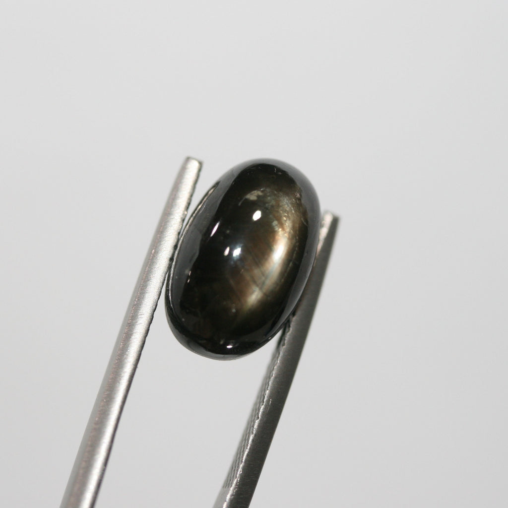 Saphir étoilé noir, cabochon ovale, 13,3 x 8,3 mm (10,21 ct).