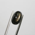 Saphir étoilé noir, cabochon ovale, 13,3 x 8,3 mm (10,21 ct).