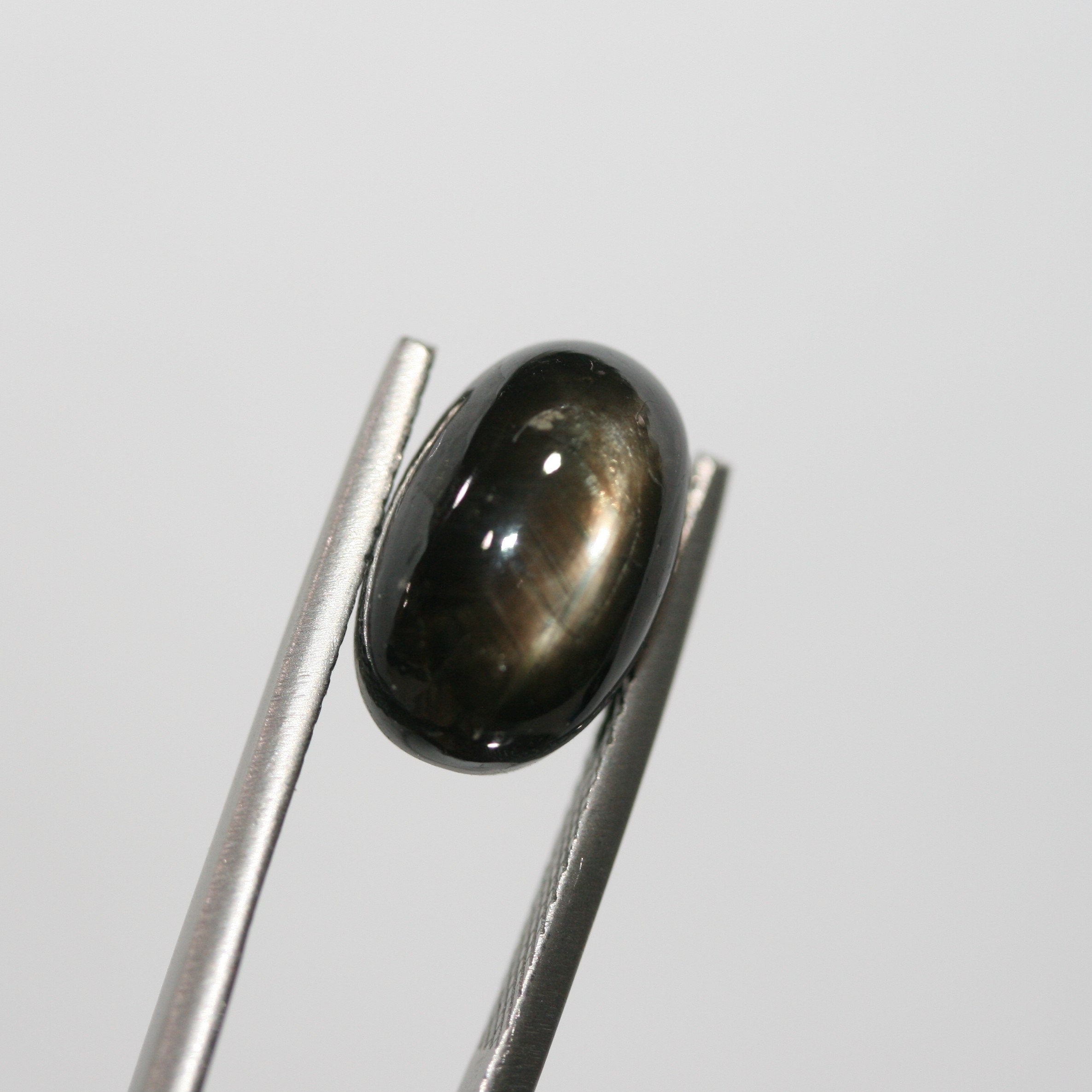 Saphir étoilé noir, cabochon ovale, 13,3 x 8,3 mm (10,21 ct).
