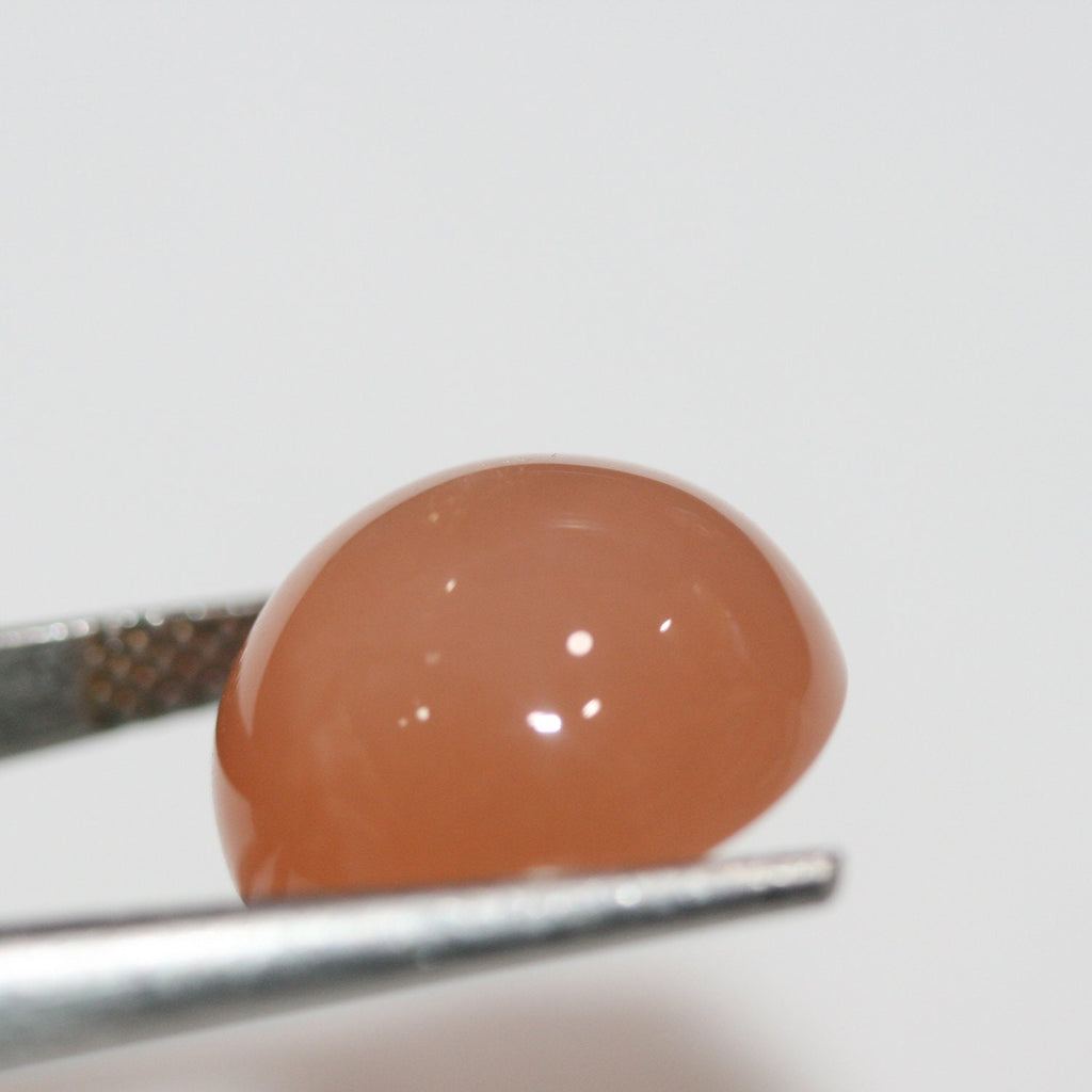 Lote de 2 cabujones redondos de piedra lunar marrón de 14 mm (2 imágenes).