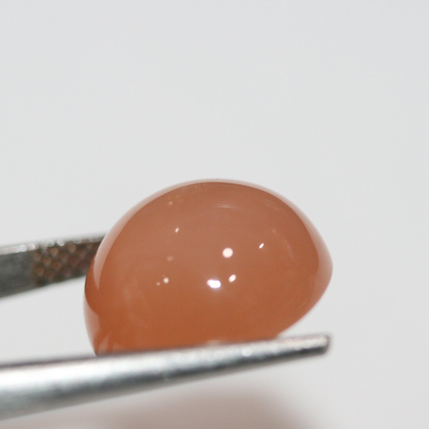 Lote de 2 cabujones redondos de piedra lunar marrón de 14 mm (2 imágenes).